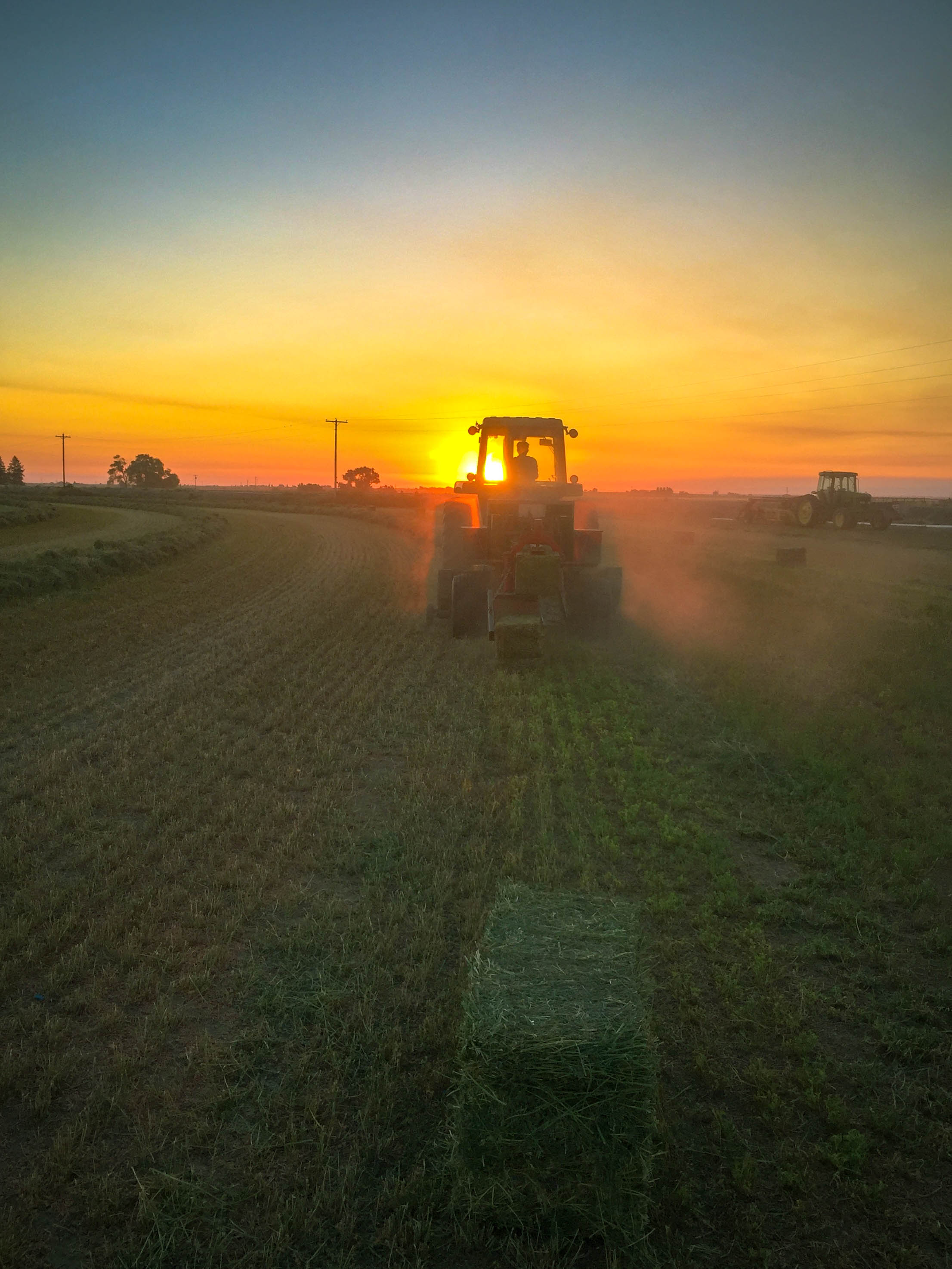Agri-Pac-Premium-Quality-Hay-Sunset-Photo