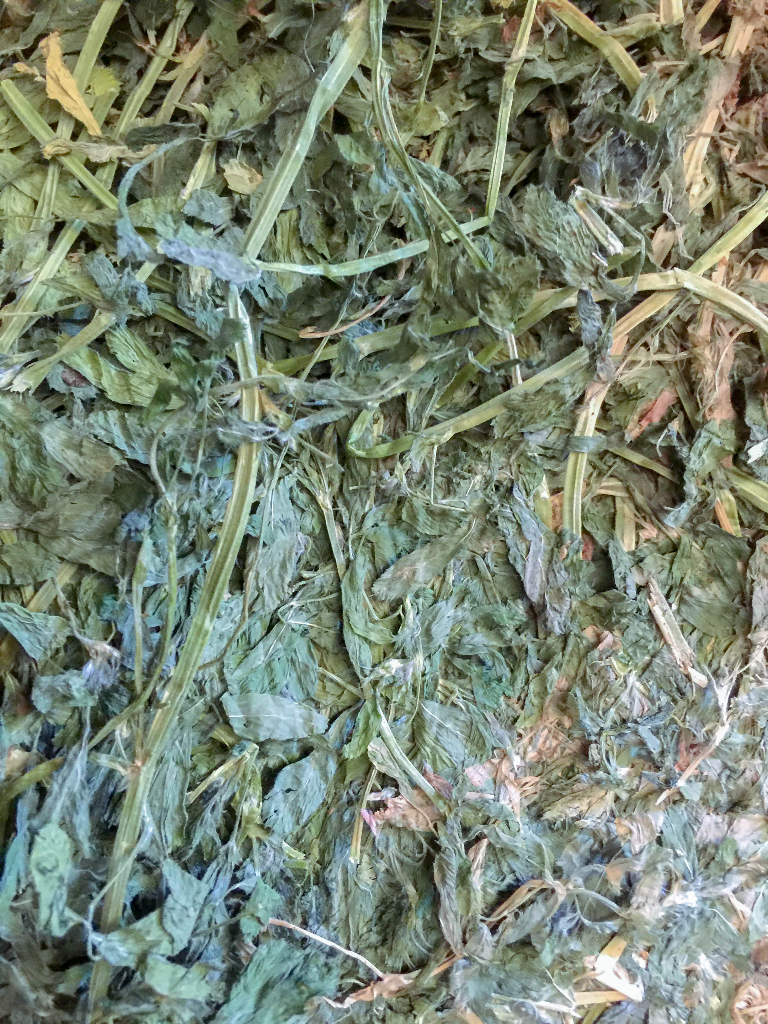 Agri-pac-alfalfa-premium-hay