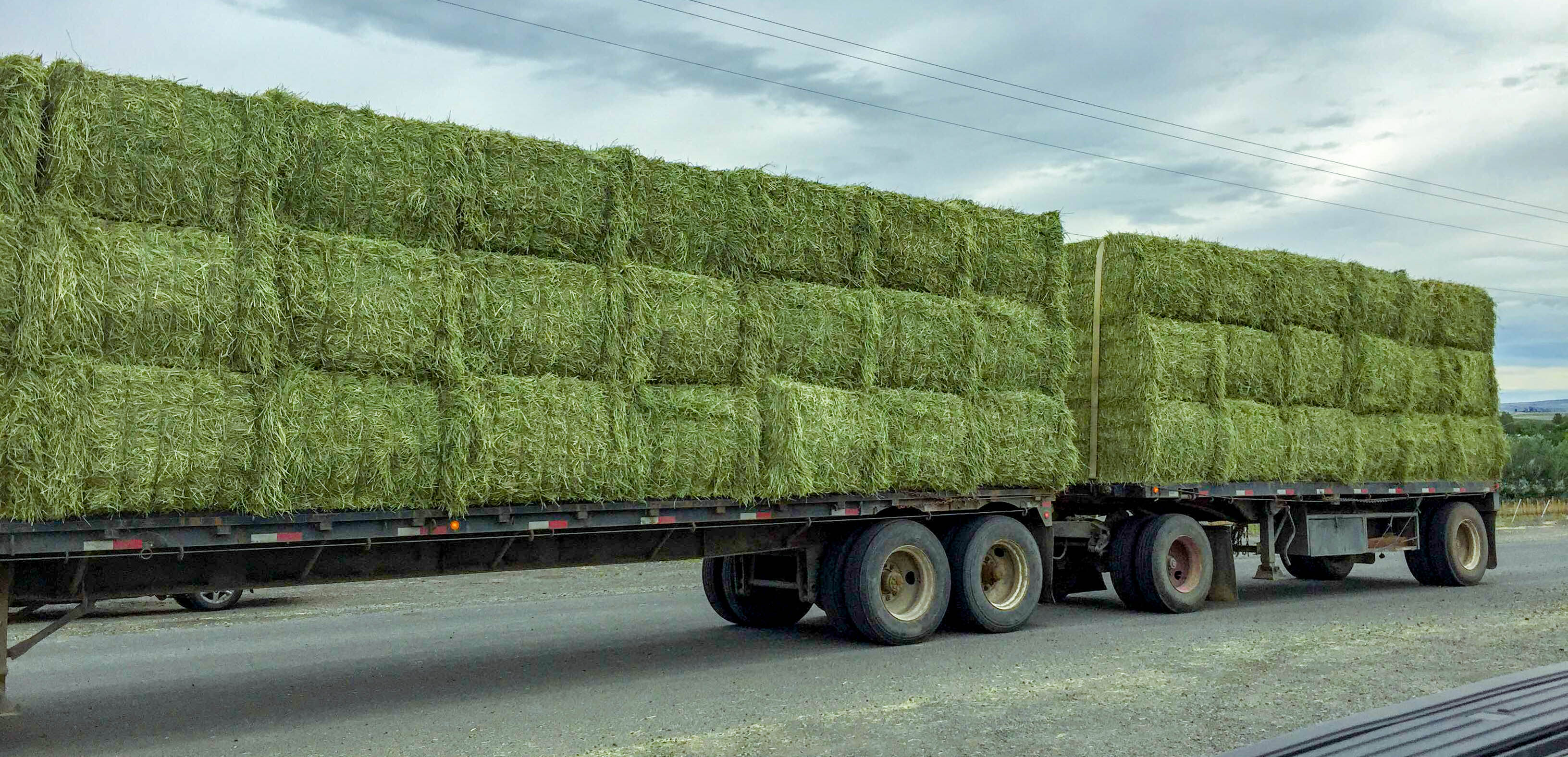 Agri-pac-timothy-premium-quality-hay